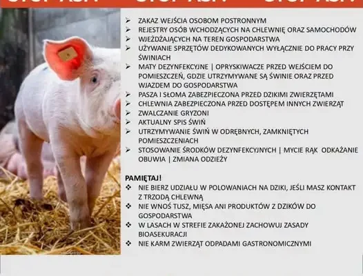 ASF w powiecie leżajskim: apel o wzmożoną ostrożność w lasach