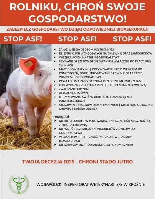ASF w powiecie leżajskim: apel o wzmożoną ostrożność w lasach