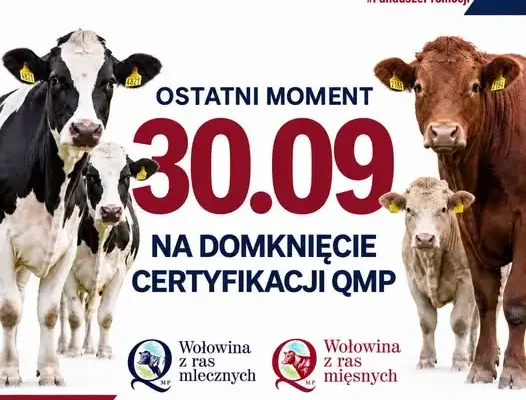 Certyfikat QMP – rolnicy mają czas tylko do 30 września 2026 r.