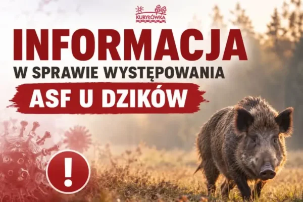 ASF w powiecie leżajskim – wirus wykryty u dzika w Kuryłówce