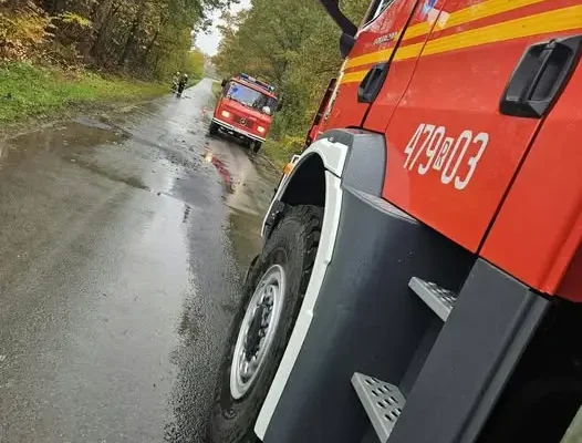 Powalone drzewo na drodze w kierunku Podlesia – interwencja strażaków