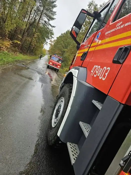 Powalone drzewo na drodze w kierunku Podlesia – interwencja strażaków